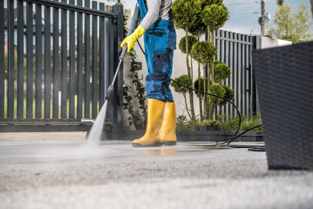 Best Roof Washing  in Burlington, VT